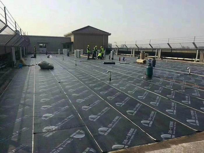 董浜镇楼面防水